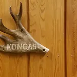 Kuukkeli Log Aurora 4*