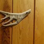 Aparthotel Kuukkeli Log Aurora 4*
