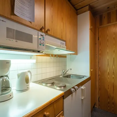 Kuukkeli Log Aurora 4* 사리셀카