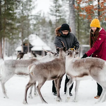 Kuukkeli Aurora