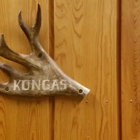 Kuukkeli Log Aurora 4*