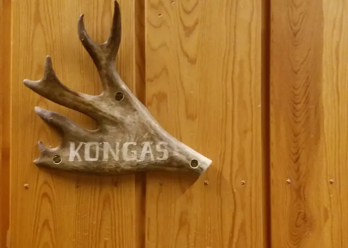 Kuukkeli Log Aurora 4*